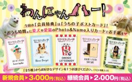 わんにゃんハート